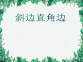 华师大版数学八年级上册 13.2.6斜边直角边课件