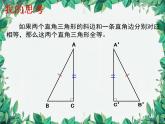 华师大版数学八年级上册 13.2.6斜边直角边课件