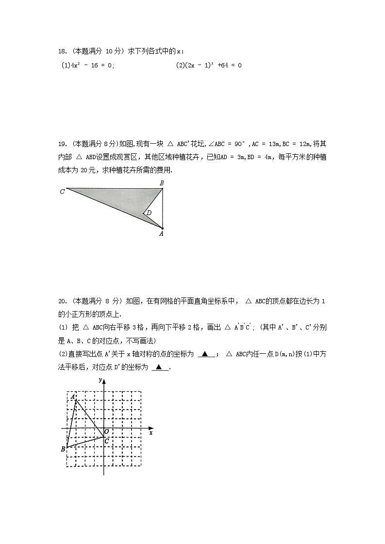 江苏省泰州市泰兴市2023-2024学年上学期八年级数学期中学情调查 试卷第3页