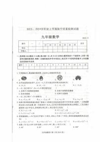 山东省临沂市平邑县2023-2024学年九年级上学期数学期中试卷