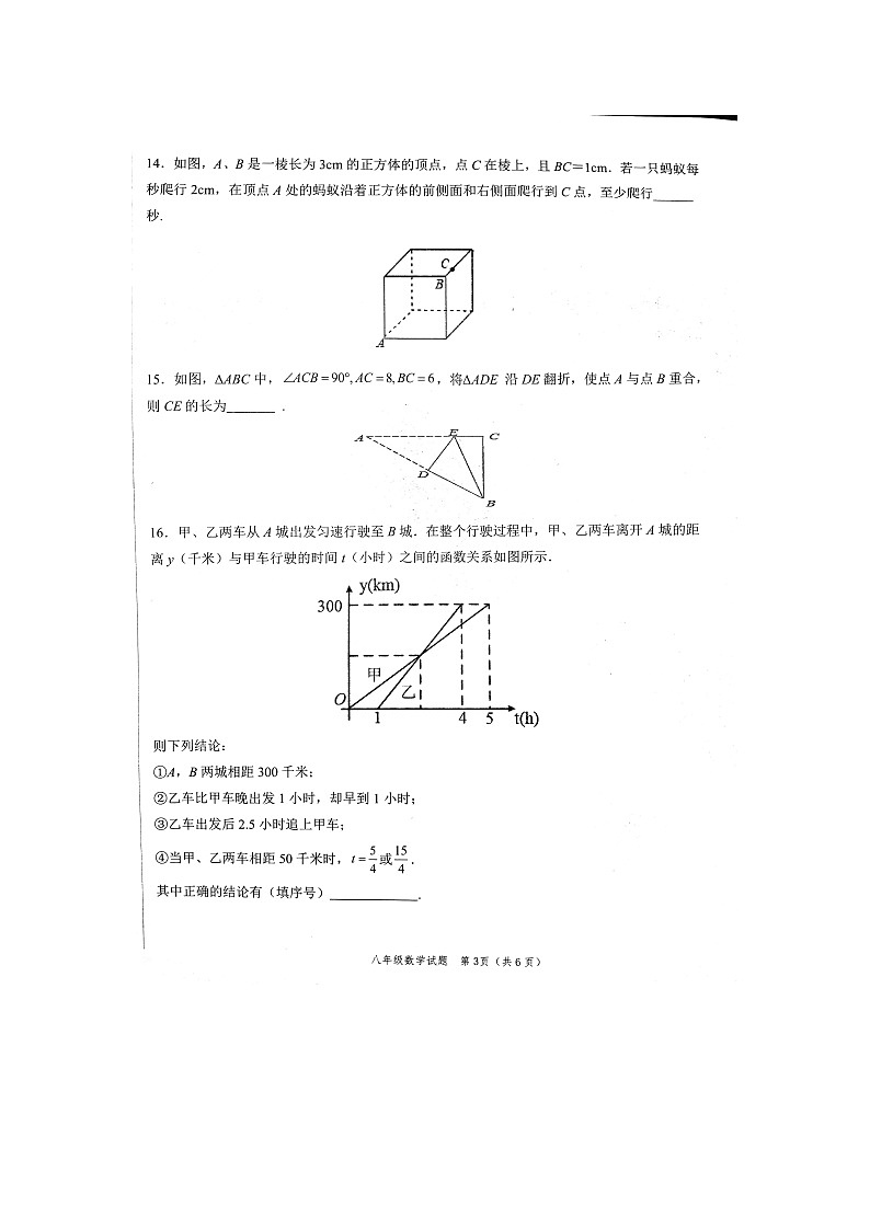 山东省菏泽市牡丹区2023-2024学年八年级上学期11月期中数学试题03