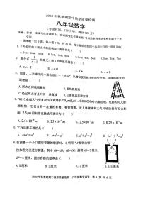 广西贵港市桂平市2023—-2024学年八年级上学期11月期中数学试题