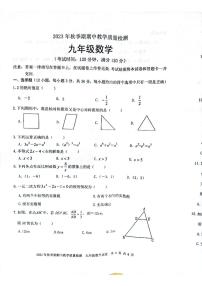 广西贵港市桂平市2023-2024学年九年级上学期期中数学试题