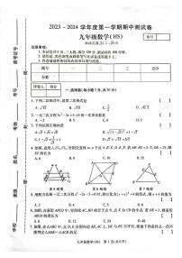 河南省新乡市卫辉市2023-—2024学年九年级上学期11月期中数学试题