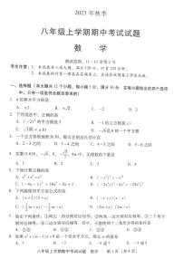 湖南省衡阳市衡南县2023-2024学年上学期期中教学质量检测八年级数学试卷