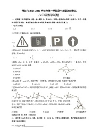 江苏省常州市溧阳市2023-2024学年八年级上学期11月期中数学试题