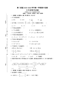 江苏省盐城市东台市第二教育联盟2023-2024学年七年级上学期11月期中数学试题