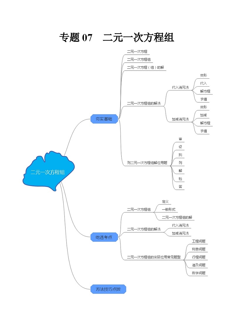 专题07 二元一次方程组（夯实基础、考点分析）--2024年中考数学一轮复习（全国通用）第1页
