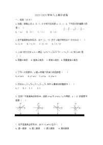 山东省枣庄市台儿庄区2023-2024学年八年级数学上学期期中试卷