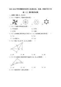 35，福建省龙岩市上杭县东北、东南、西南片区2023—2024学年八年级上学期期中考试数学试题