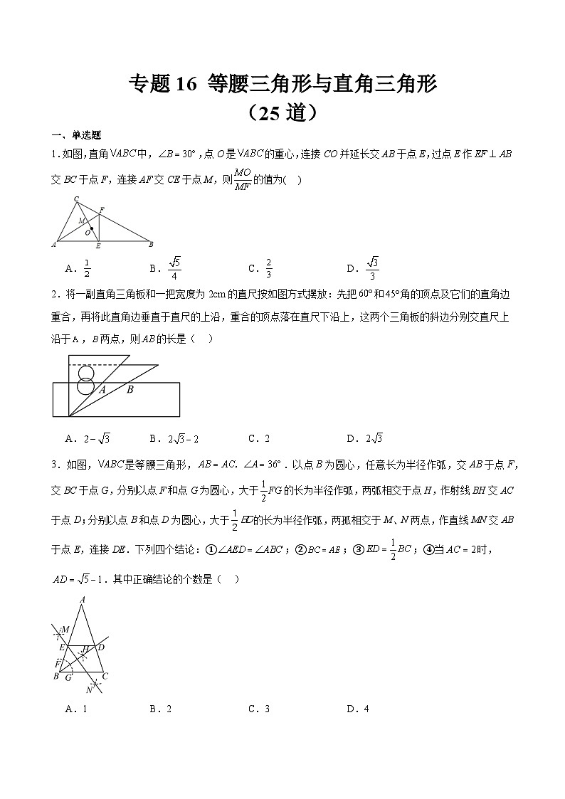 专题16 等腰三角形与直角三角形（共25道）（原卷版）第1页