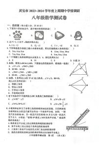 河南省灵宝市2023-—2024学年上期期中学情调研八年级数学测试卷