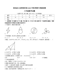 四川省广安市岳池县2023-2024学年八年级上学期期中数学试题