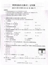 安徽省安庆市桐城市2023—2024学年七年级上学期11月期中数学试题