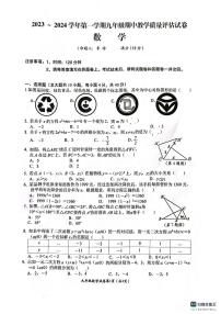 安徽芜湖第二十九中学2023-2024学年第一学期九年级期中教学质量评估试卷数学数学