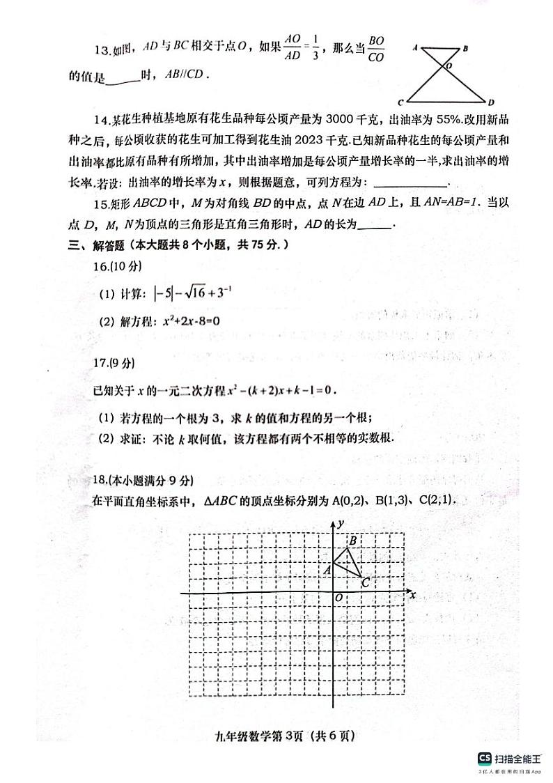 河南省南阳市社旗县2023-2024学年九年级上学期11月期中数学试题03