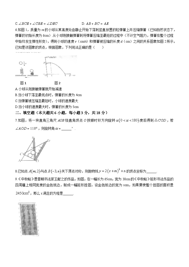 江西省赣州市大余县南安中学，左拔学校2023-2024学年九年级上学期期中数学试题(无答案)第2页