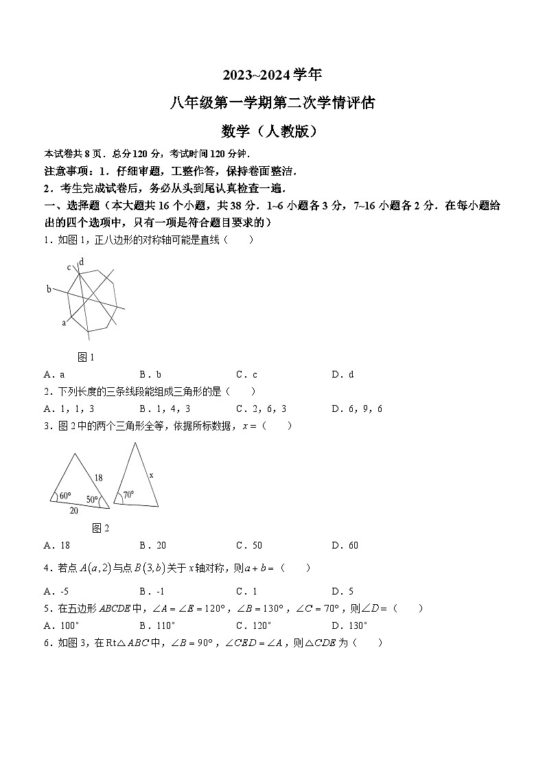 河北省邯郸冀南新区育华实验学校2023-2024学年八年级上学期期中数学试题01