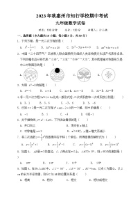 广东省惠州市惠阳区知行学校2023-2024学年九年级上学期期中数学试卷