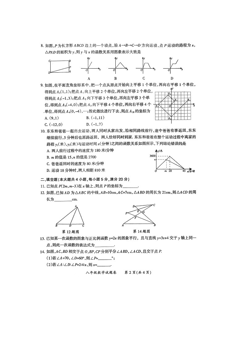 安徽省滁州市天长市铜城片2023~2024学年上学期八年级数学期中试卷第2页