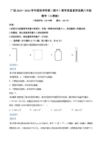 广西壮族自治区河池市大化瑶族自治县2023-2024学年八年级上学期期中数学试题（解析版）