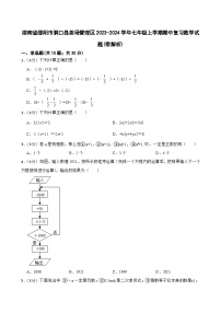 湖南省邵阳市洞口县茶场管理区2023-2024学年七年级上学期期中复习数学试题