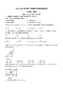 江西省萍乡市芦溪县2023-2024学年九年级上学期期中数学试题