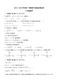 江西省萍乡市芦溪县2023-2024学年八年级上学期期中数学试题