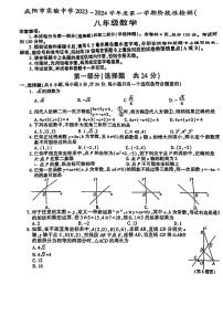 陕西省咸阳市实验中学2023-2024学年上学期八年级期中数学试题