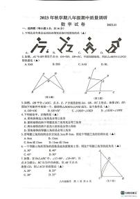 江苏省常州市金坛区2023-2024学年八年级上学期期中质量调研数学试卷