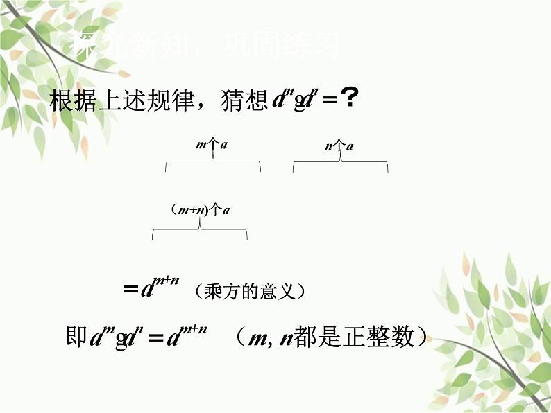 北师大版数学七年级下册 1.1  同底数幂的乘法-课件第6页