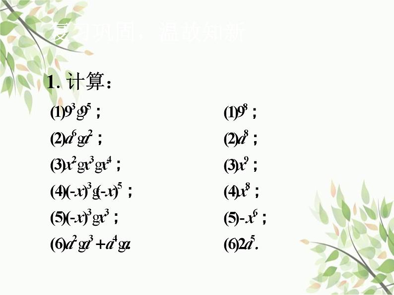 北师大版数学七年级下册 1.2  幂的乘方与积的乘方第1课时  幂的乘方-课件03