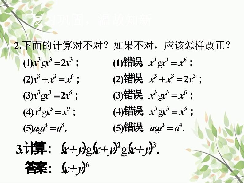 北师大版数学七年级下册 1.2  幂的乘方与积的乘方第1课时  幂的乘方-课件04