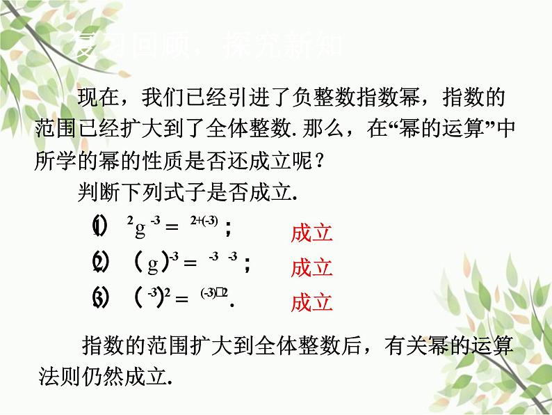 北师大版数学七年级下册 1.3  同底数幂的除法第2课时  科学记数 法-课件02