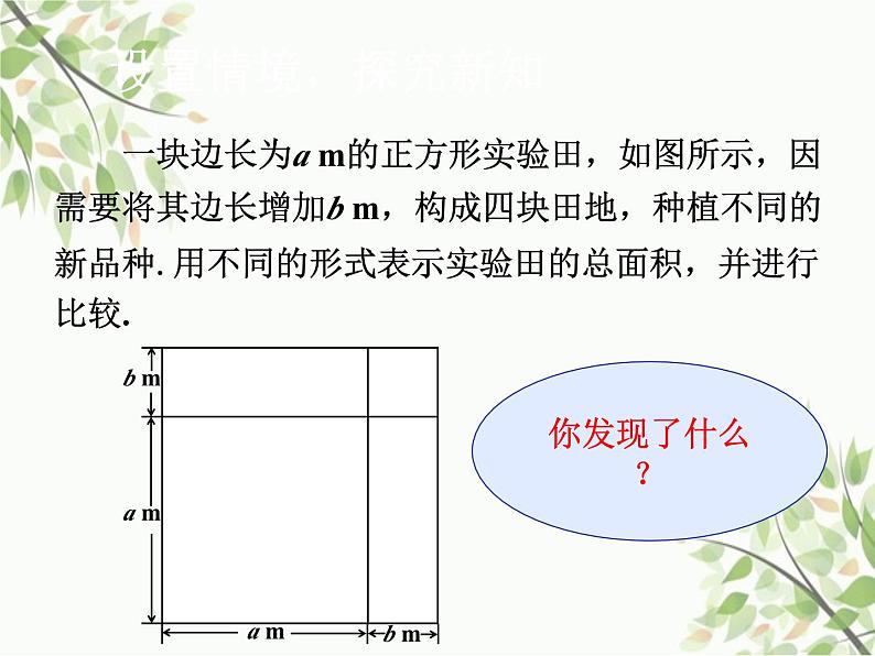 北师大版数学七年级下册 1.6  完全平方公式第1课时  完全平方 公式的认识-课件03