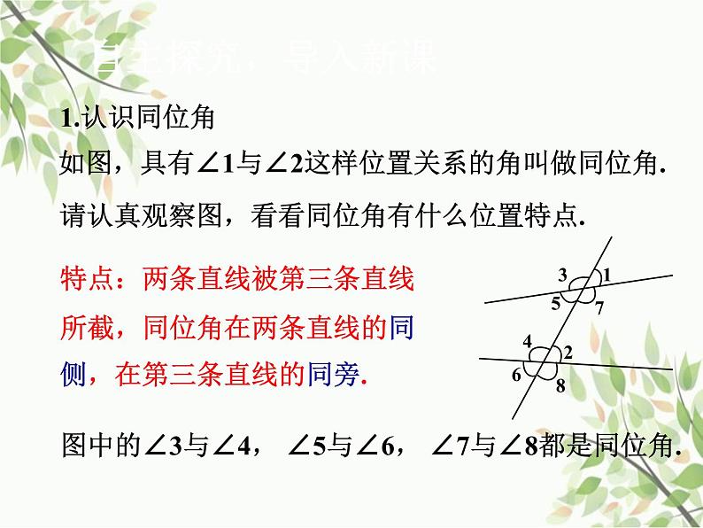 北师大版数学七年级下册 2.2  探索直线平行的条件第1课时  探索直线 平行的条件（1）-课件04