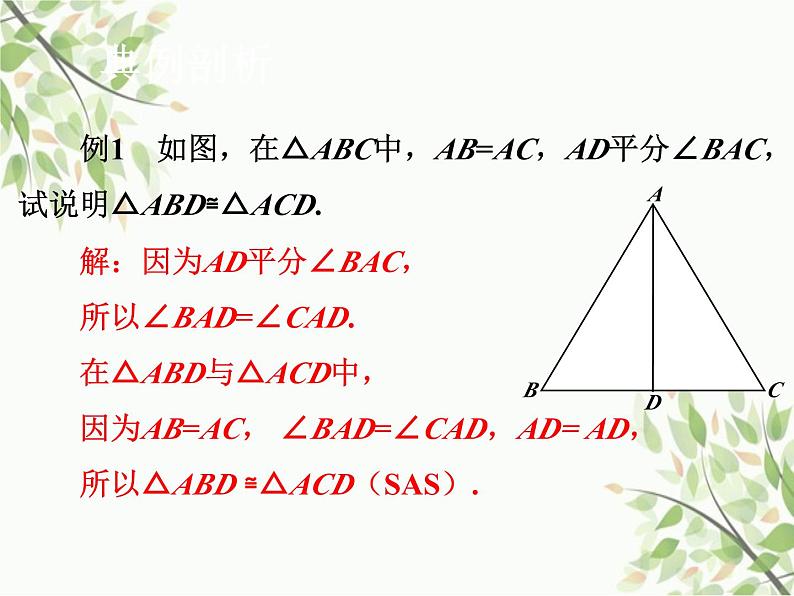 北师大版数学七年级下册 4.3  探索三角形全等的条件第3课时  SAS-课件第7页