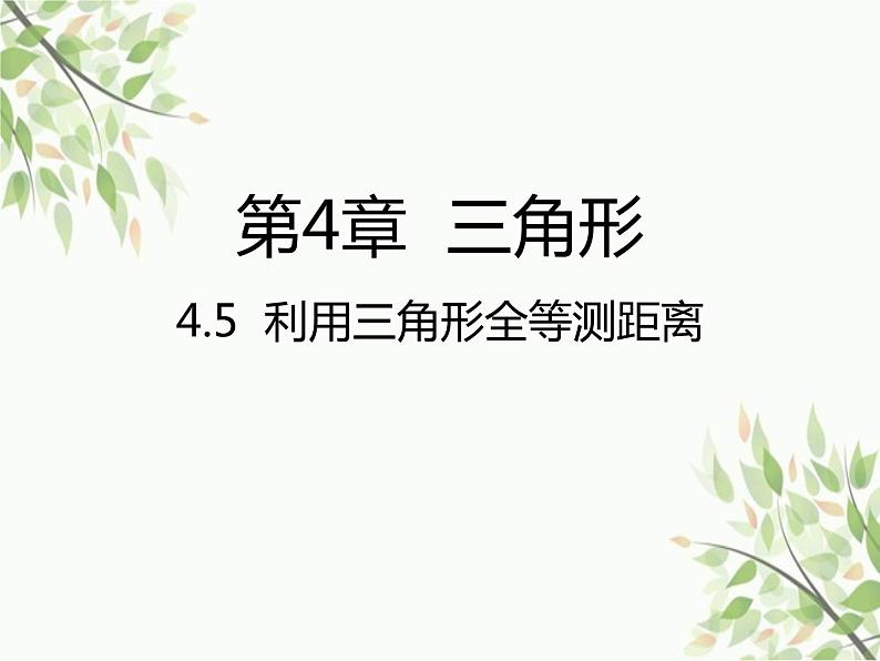 北师大版数学七年级下册 4.5  利用三角形全等测距离-课件第1页