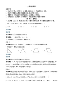 北京市海淀区2023-2024学年九年级上学期期中数学试题（解析版）