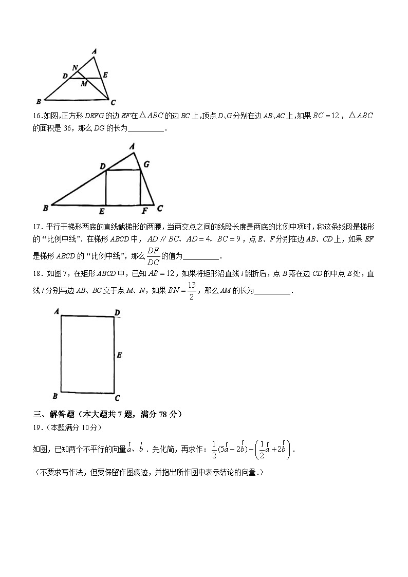 28，上海市普陀区2023-2024学年九年级上学期期中数学试题(无答案)第3页