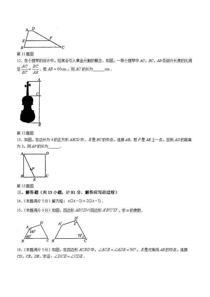 34，陕西省榆林市子洲县周家硷中学2023-2024学年八年级上学期期中数学试题(无答案)03