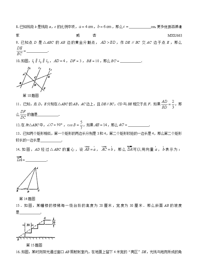 45，上海市闵行区2023-2024学年九年级上学期期中数学试题02