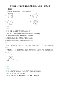 河北省保定市涿州市实验中学2023-2024学年九年级上学期期中数学试题（解析版）