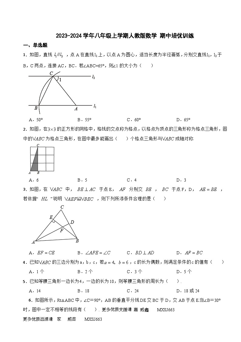 2023-2024学年人教版八年级上册 数学 期中培优训练01