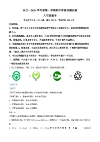 广东省阳江市江城区2023-2024学年八年级上学期期中数学试题（解析版）