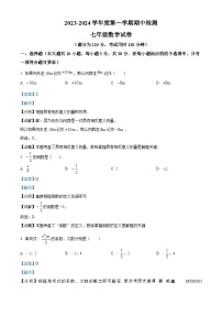 广东省云浮市罗定市2023-2024学年七年级上学期期中数学试题（解析版）