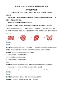 云南省昆明市嵩明县2023-2024学年九年级上学期期中数学试题（解析版）