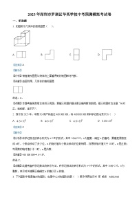 2023年广东省深圳市罗湖区华英学校中考模拟数学试题（解析版）