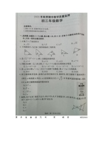 福建省泉州市晋江市安海片区2023-2024学年九年级上学期期中联考数学试题