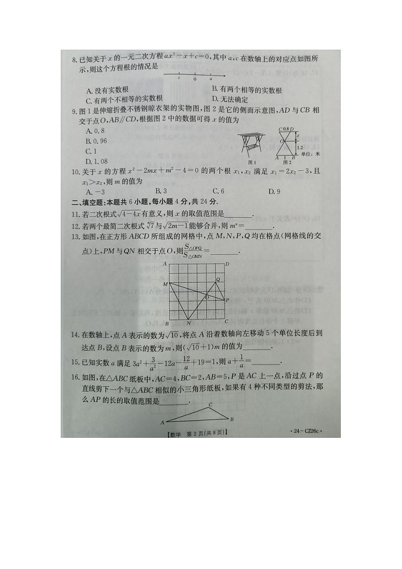 福建省泉州市晋江市安海片区2023-2024学年九年级上学期期中联考数学试题第2页